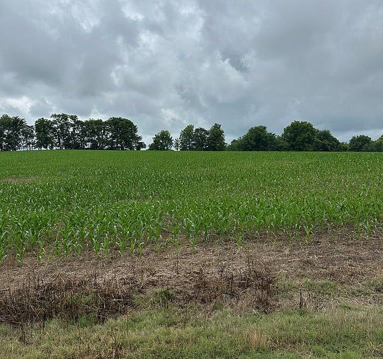 2nd image of 0 Cannon Store Rd