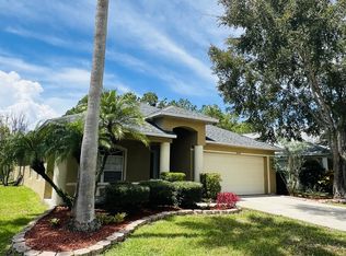 14640 Corkwood Dr, Tampa, FL 33626