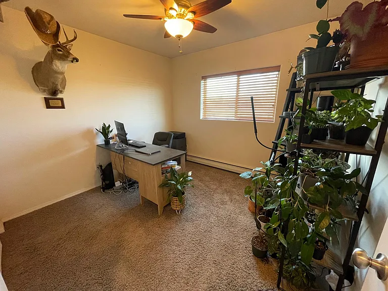 1008 Antares Rd — Photo 13