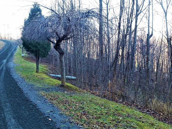 2nd image of 11 Roan Springs Rd