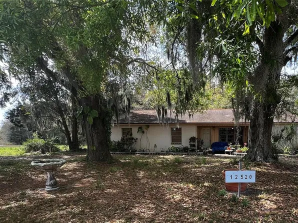 12434 Cody Dr, Wimauma, FL 33598