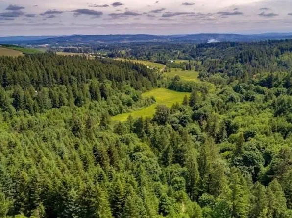 SW Finnigan Hill Rd, Hillsboro, OR 97123