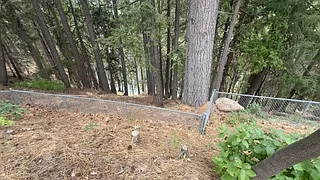 1739 Holiday Ln — Photo 35