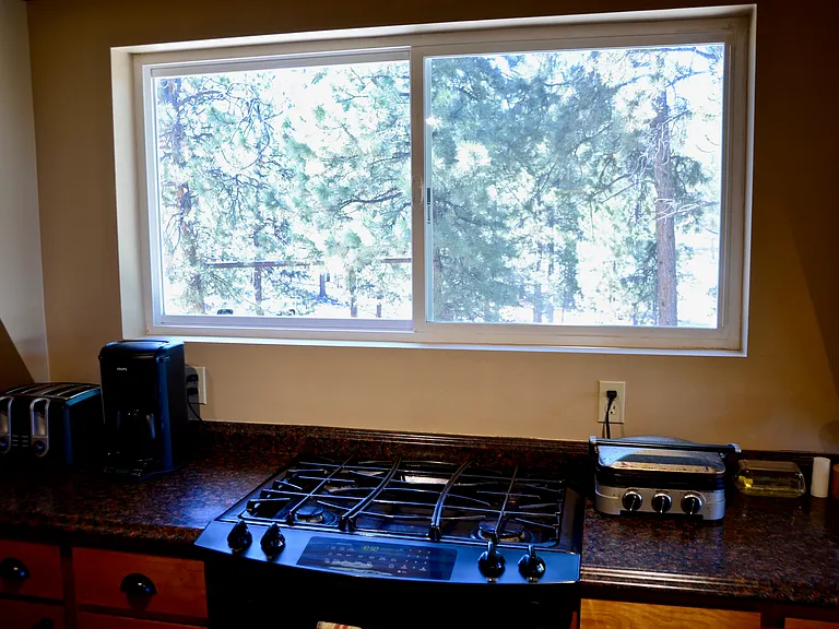 538 Black Fawn Ln — Photo 14