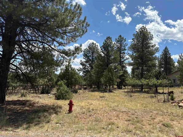 TBD326 Bear Cub Drive, Ridgway, CO 81432