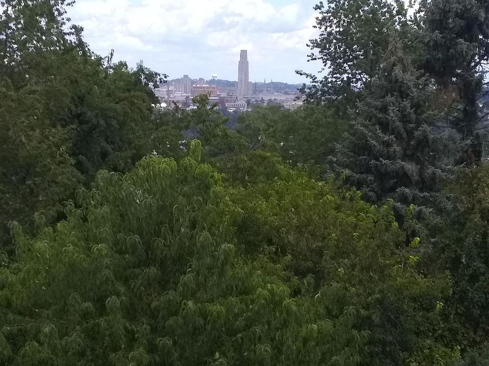 View out upper bedroom window (second story above street level)