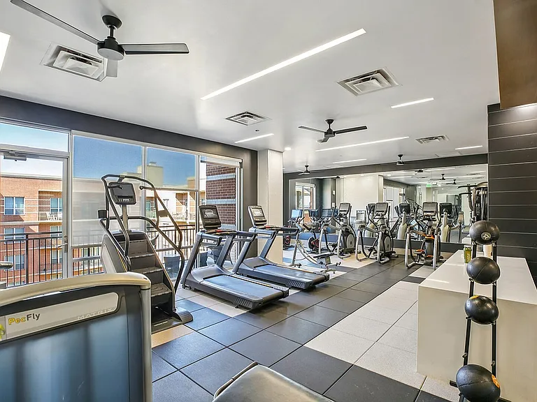 Cardio Equipment
