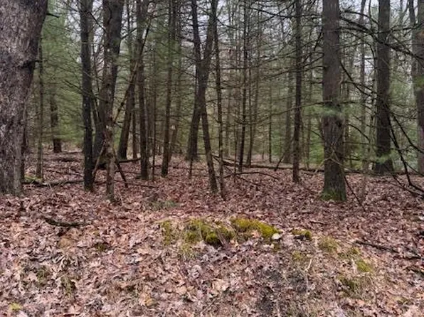 0 Iron Bridge Rd, Clarington, PA 15828