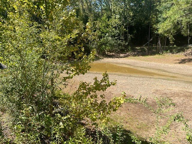 2nd image of 0 Conerly Rd