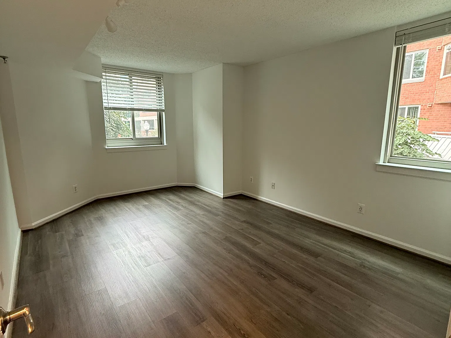 1 bed, 690 sqft, $2,500 — Photo 4