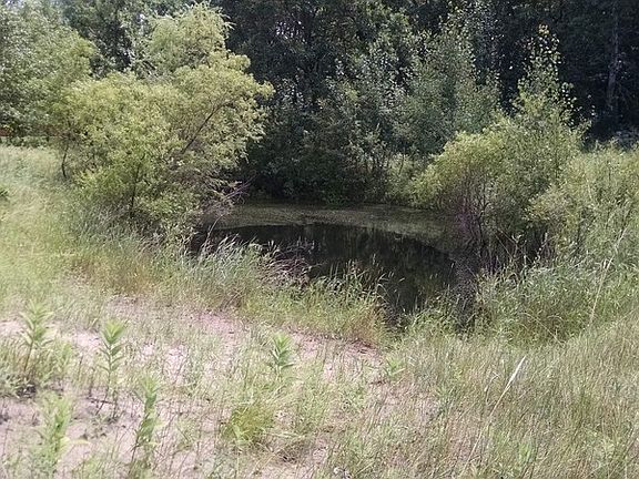 Pond : This pond sits at the back edge of the property. Deer love coming for a drink!