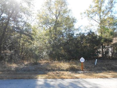 20 Hibernate Way, Freeport, FL, 32439