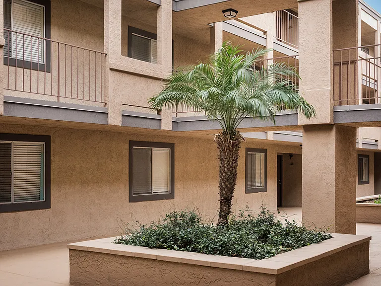 Courtyard Planters