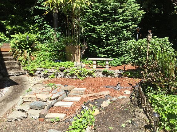 super woodsy, northwest forest backyard