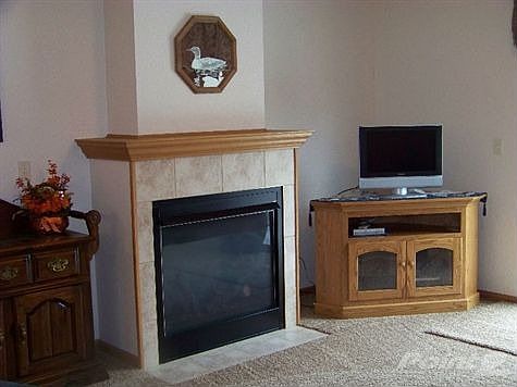 Double sided gas fireplace - other side in master bedroom.