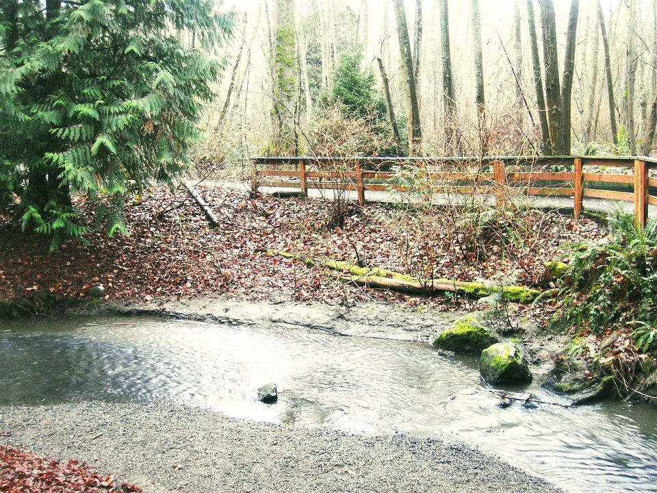 Longfellow Creek Trail