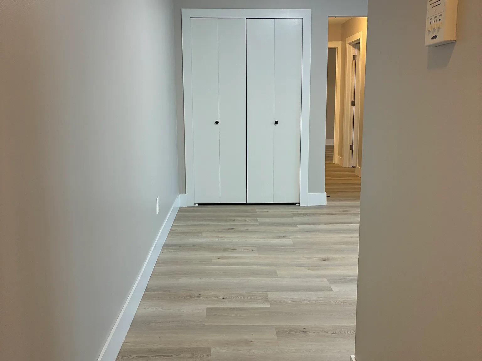 2 bed, 1000 sqft, $1,600 — Photo 3
