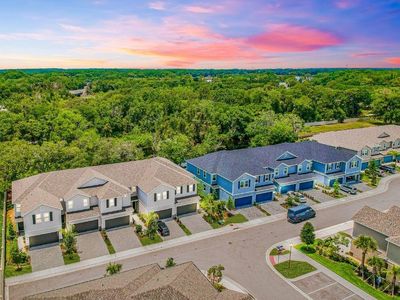 15002 Blue Quaker Pl, Tampa, FL, 33613