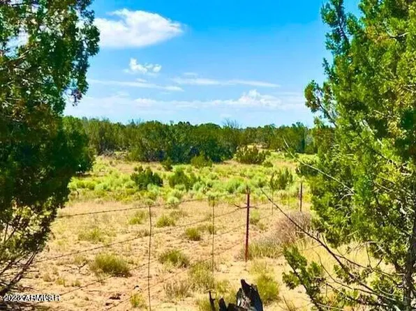 TBD N7298 Lots 104 & 105 80 Acres -- #104, Sanders, AZ 86512
