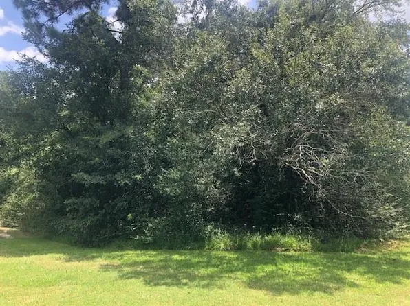 0 County Road 2134, Off Of Milvid Cleveland, TX 77369