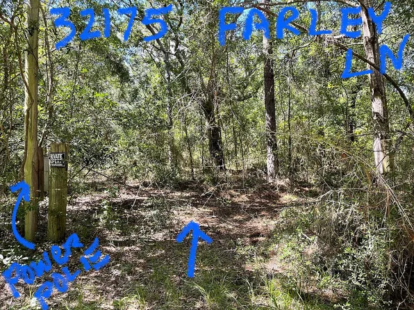 32171 Farley Ln, Lillian, AL 36549