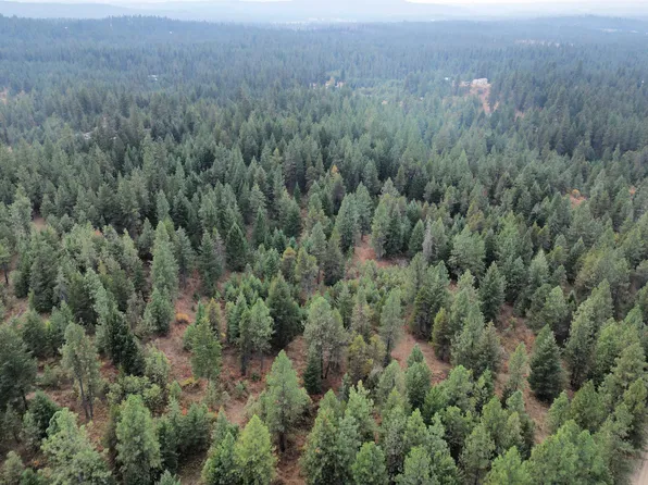 0 E Bridges Rd Lot 1, Elk, WA 99009