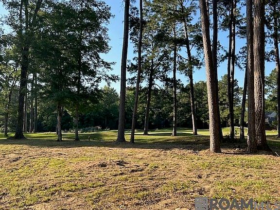 4th image of 6041 Clayton Ct