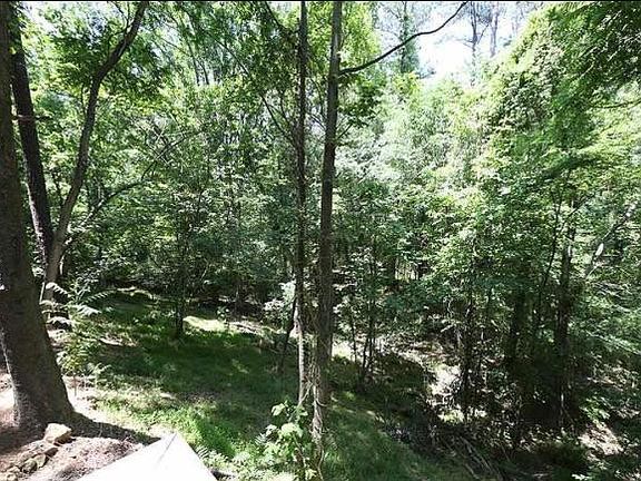 view from deck