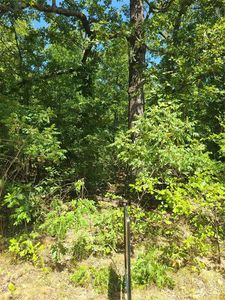 Jeffery Dr Lot 15, Cookson, OK, 74427