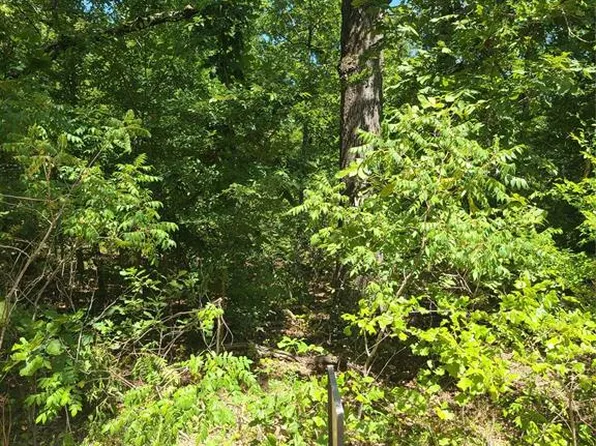 Jeffery Dr Lot 15, Cookson, OK 74427