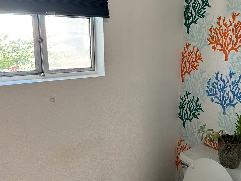 La Real — Photo 5