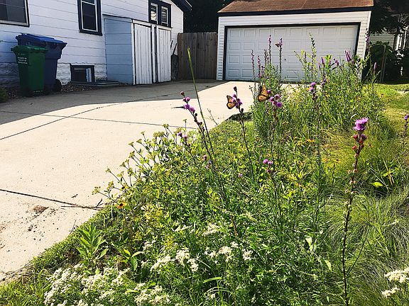 Pollinator Rain Garden 