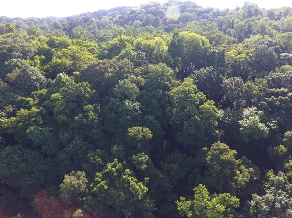 Delta Queen Rd, Louisville, TN 37777