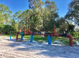 2871 Franklin Rd, Saint Cloud, FL 34771