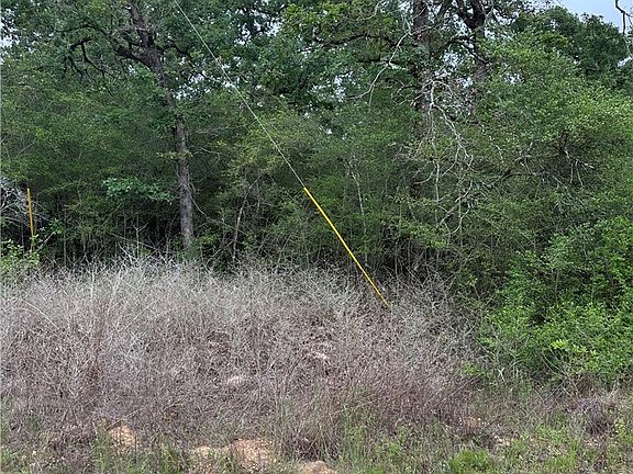 3rd image of 31 Ranch Road Dr