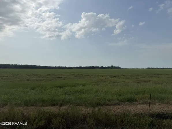 Whiteville Tract Rd #9, Ville Platte, LA 70586