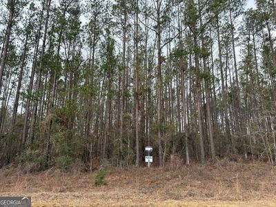 PARCEL Eight Southside Dr #A, Lyons, GA, 30436