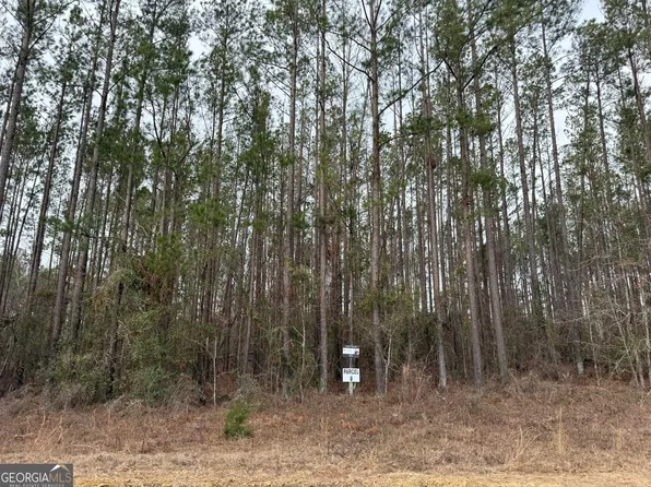 PARCEL Eight Southside Dr #A, Lyons, GA 30436