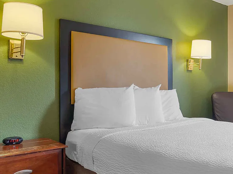 Superior Suite - 1 Queen Bed