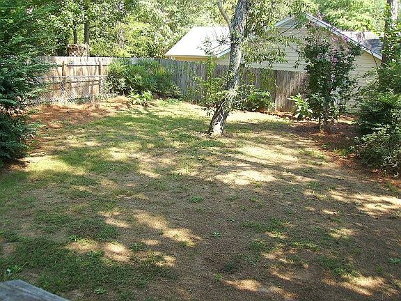 Shady Back Yard