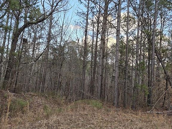 2nd image of 0 Lane Branch Rd #0