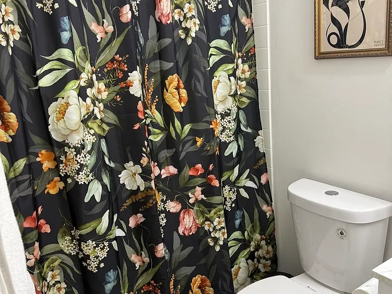 10 E Ontario St #5007 — Photo 7