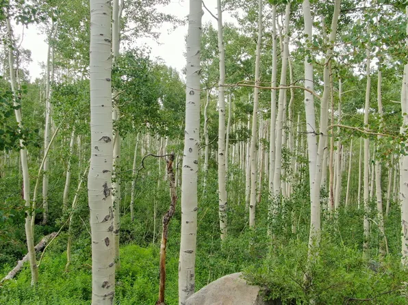 2358 W Boulder Dr, Midway, UT 84049