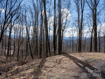 17 Twin Springs Ct, Fairview, NC, 28730