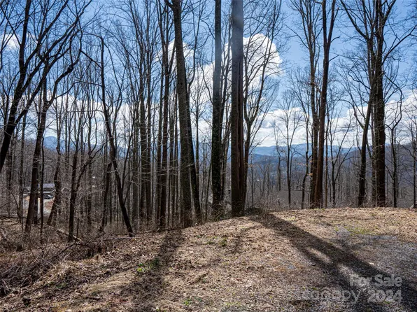 17 Twin Springs Ct, Fairview, NC 28730