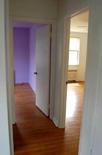 8037 Pine Rd #2 — Photo 3