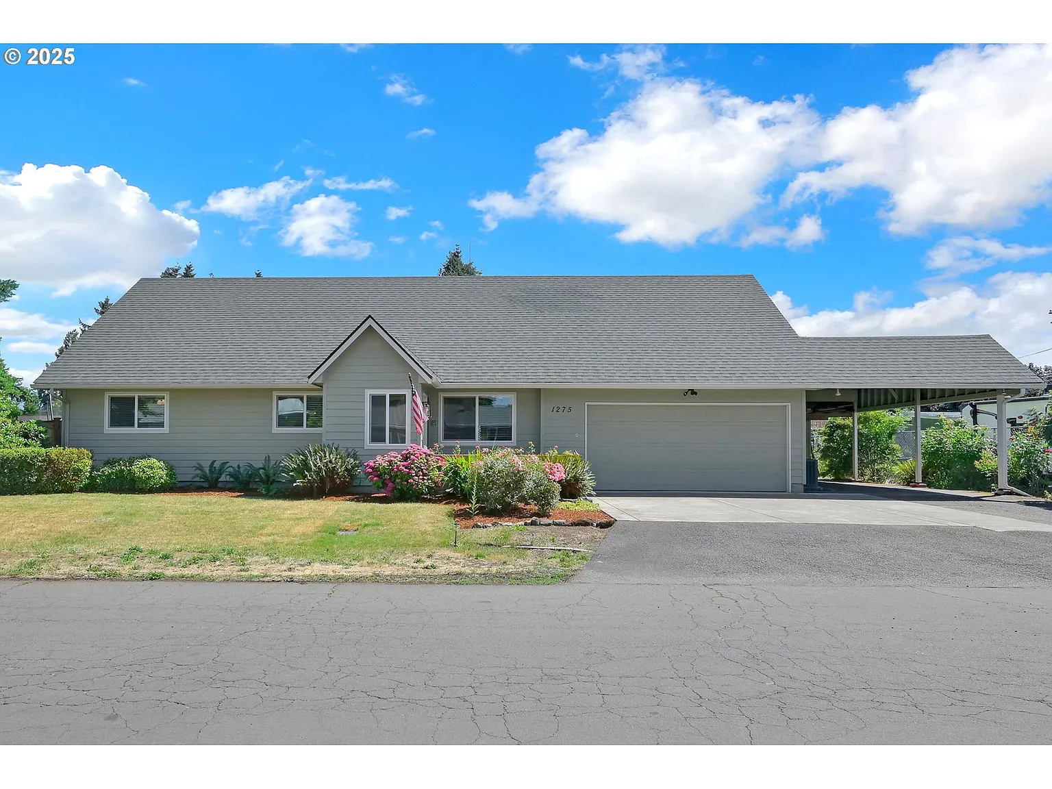 1275 Island St photo 1