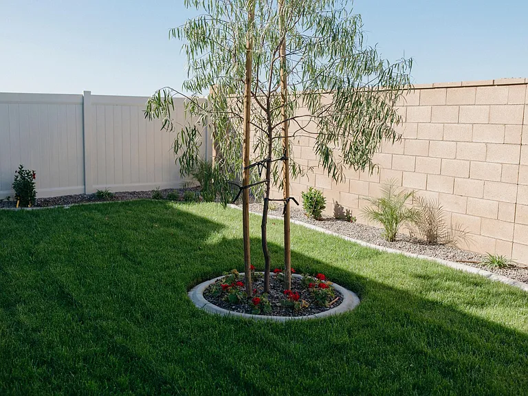 4768 Albatross Ave — Photo 28