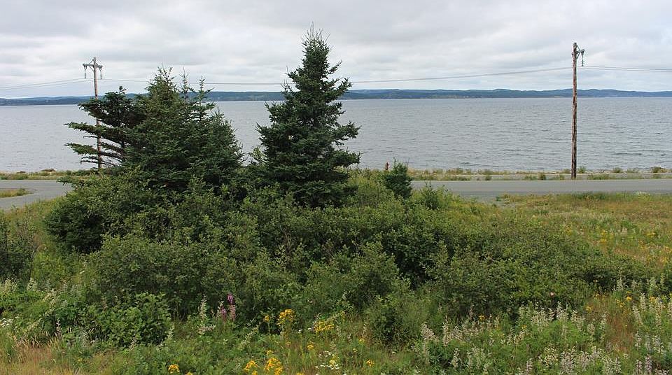 1st image of 289-291 Seal Cove Road