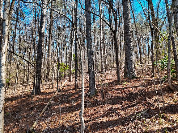 4th image of 1714 Spring View Ln